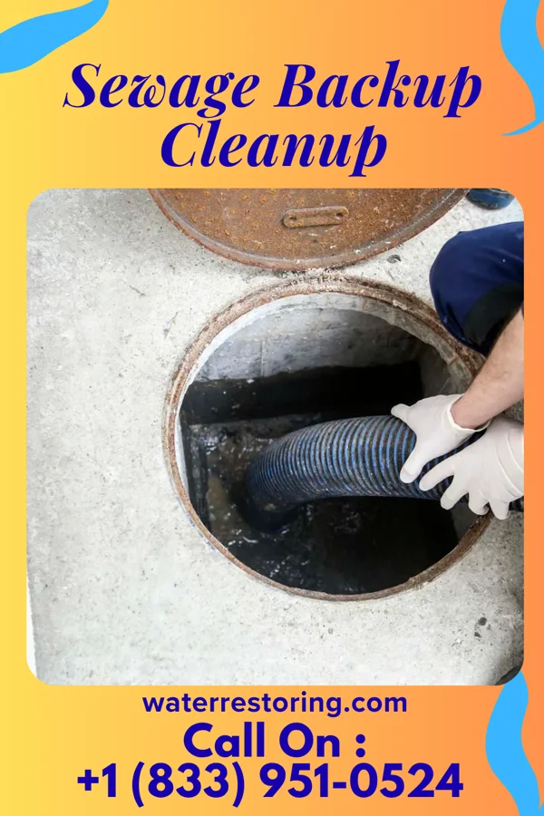 Sewage Backup Cleanup in Thibodaux, LA